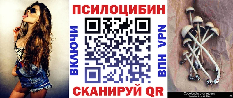 купить   Ардон  Галлюциногенные грибы ЛСД 